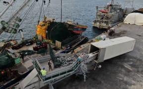 The recent purchase of a tuna "star loader," with the support of the Food and Agriculture Organization of the United Nations (FAO) FISH4ACP project, has been a game-changer for improving the speed and handling of tuna unloaded from purse seiners into freezer containers for later export to canneries.