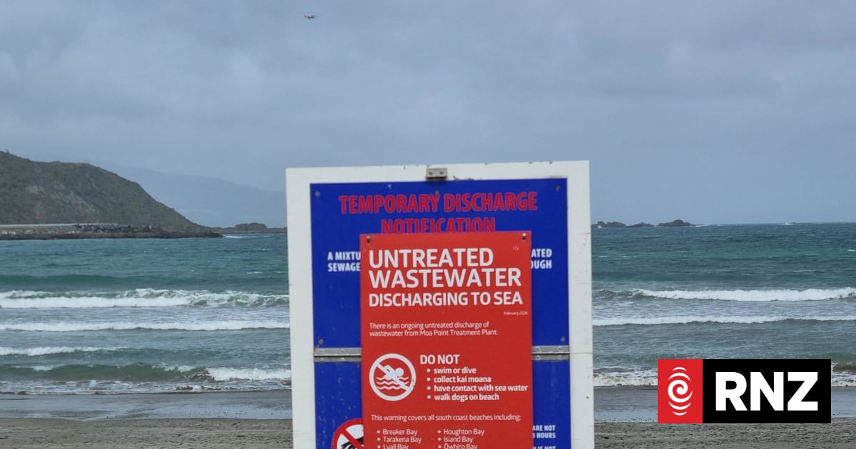Moa Point disaster caused by 'systemic leadership failures', damning report finds