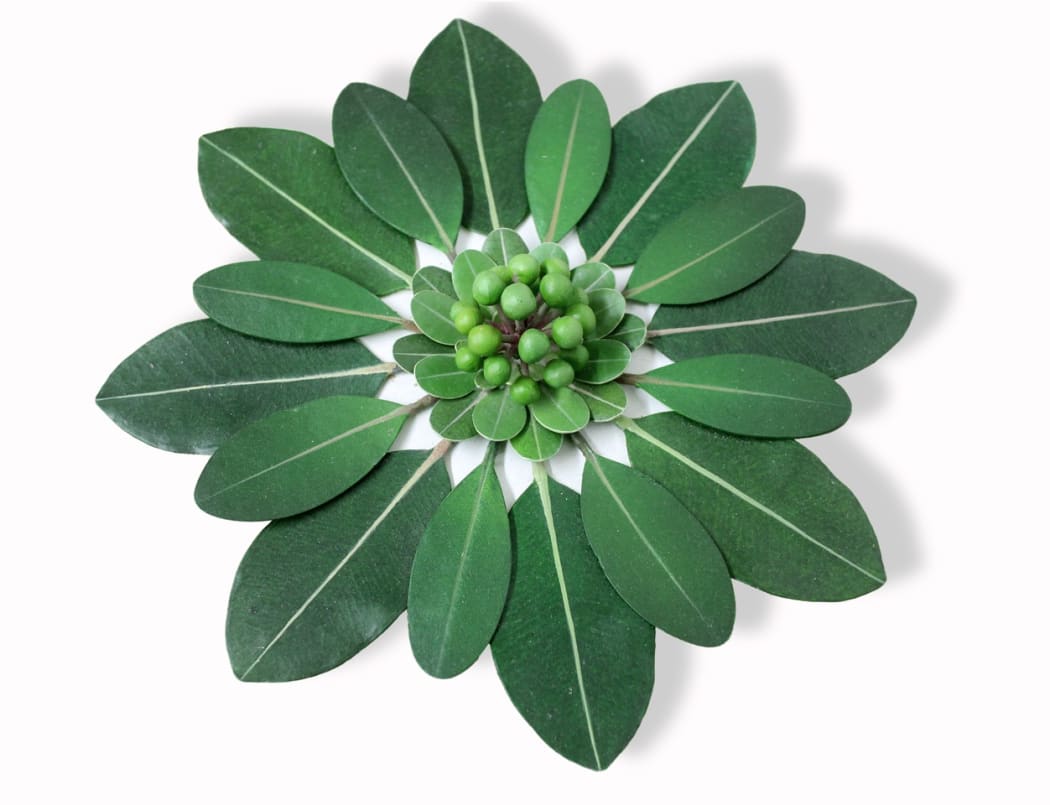 Rosette