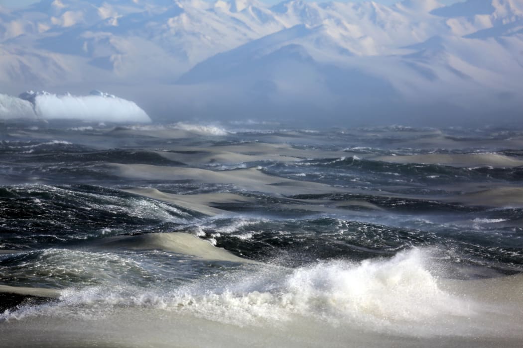 Diatom blooms occurring in newly forming frazil sea ice in the stormy waters of the Ross Sea.