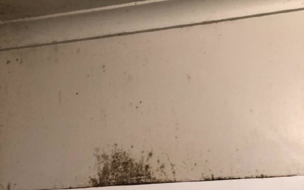 The leaks caused mould, like on this wall.