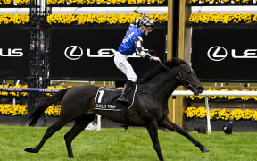 Jockey Mark Zahra rides Gold Trip to win the 2022 Melbourne Cup.