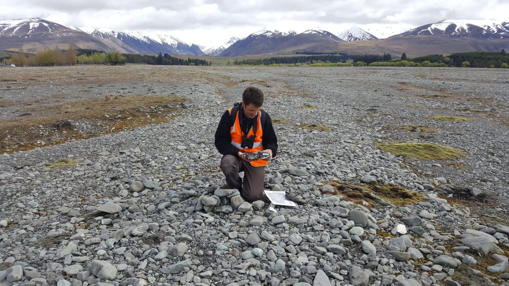 Nikki McArthur checking a trail camera monitoring a South Island pied oystercatcher nest on the Cass River delta. The nest with two eggs is in the centre foreground.