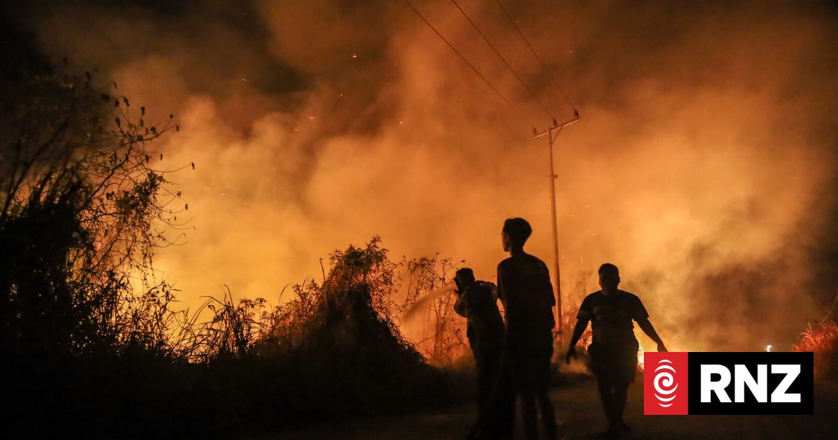 Haze over Papua from forest fires causes mass disruptions, health issues