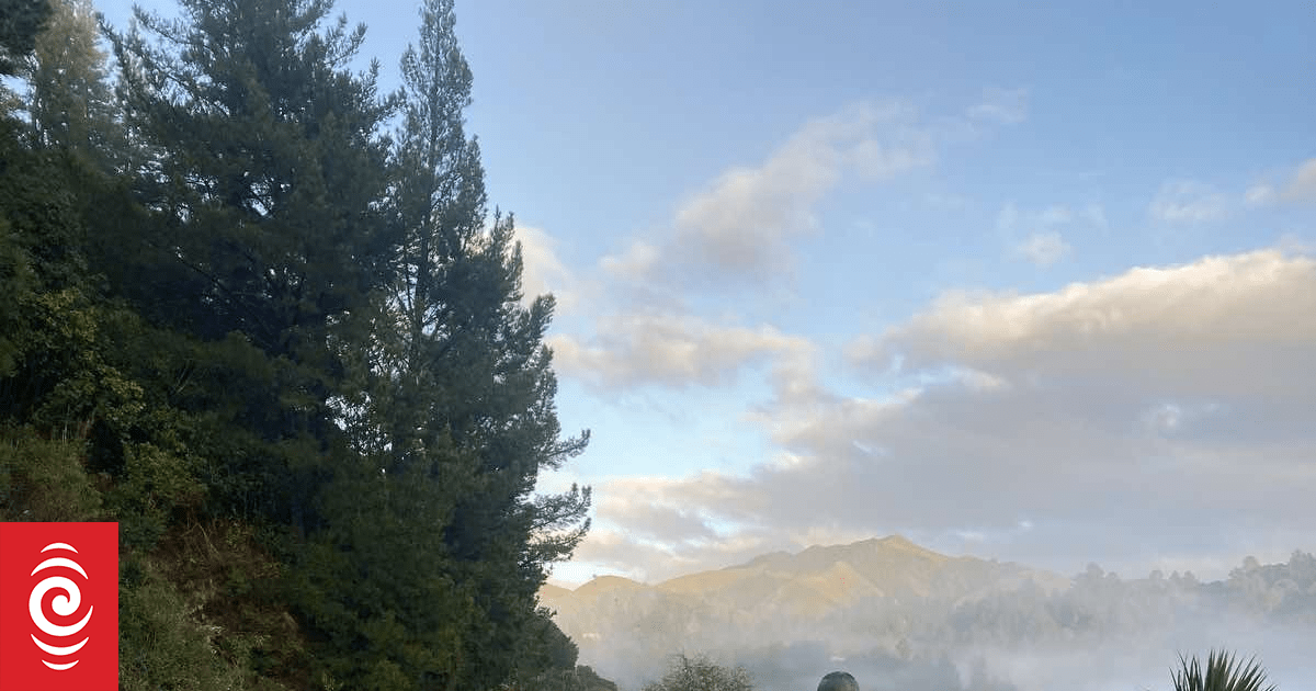 Tasman cleans up after flooding: 'So many heartbreaking sights'