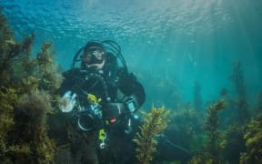 Wellington’s Marine Reserve virtual tour