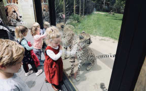 Children enjoy seeing the animals again as Hamilton Zoo reopens.