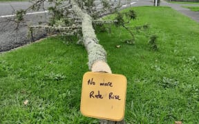 A disgruntled ratepayer cut down a tree in Stratford over rates.