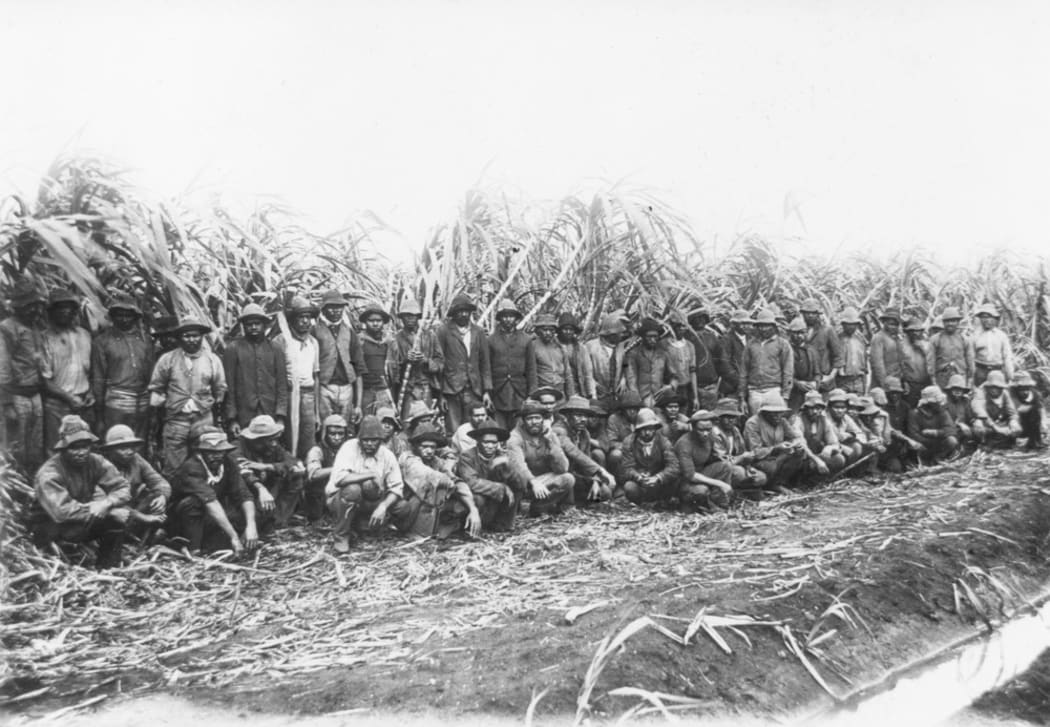 The sugar cane industry in Australia made heavy use of blackbirding victims in the 1870s, although some worked willingly for pay.