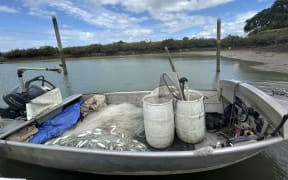 A ring net fishing boat in Northland. Photo: Seafood NZ 