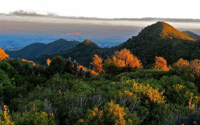 Central plateau from Pirongia at sunset