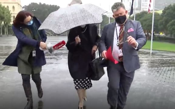 TVNZ's Maiki Sherman confronts new National Party president Sylvia Wood outside Parliament.
