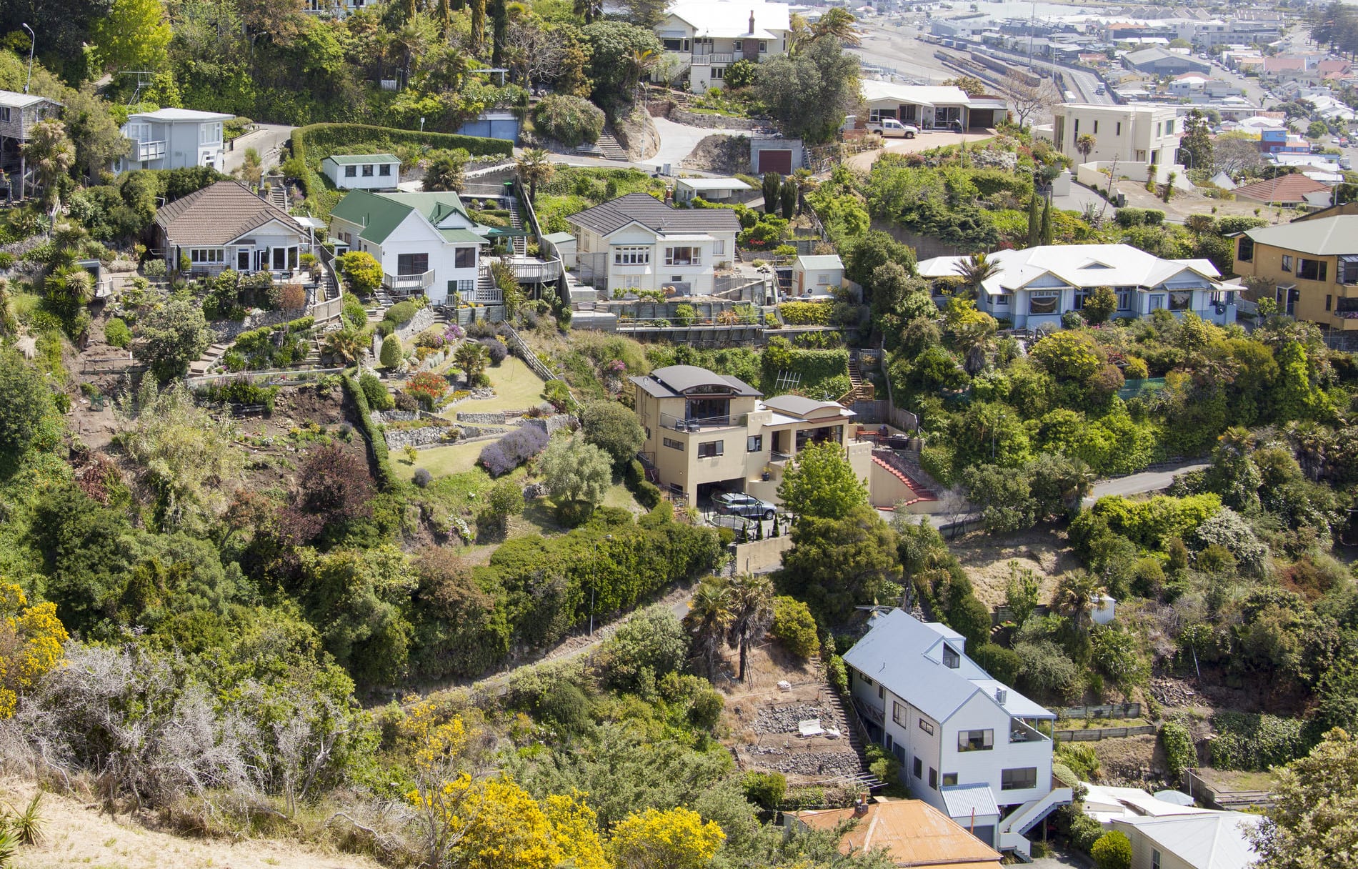House prices and rents have risen in Napier.