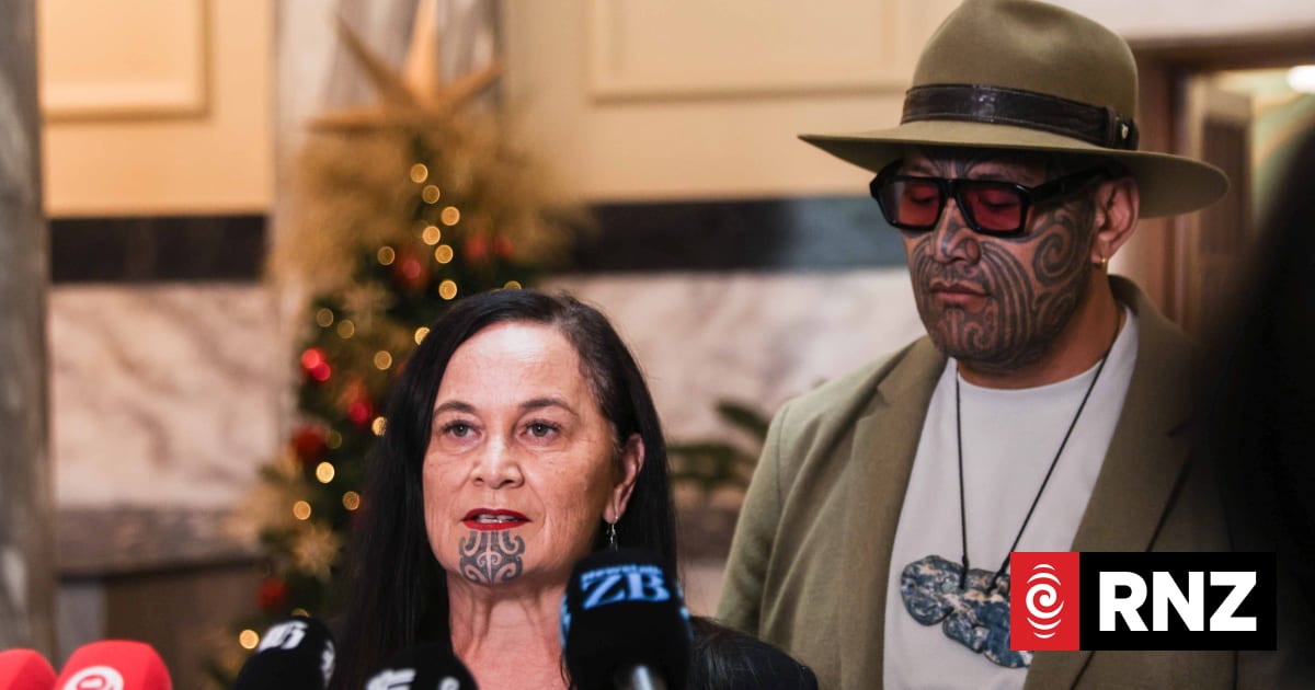 Te Pāti Māori lay out their strategy to defeat the coalition