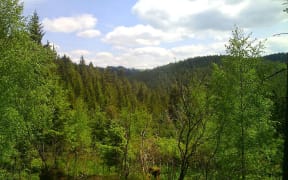 Chodová Planá, Czech Republic