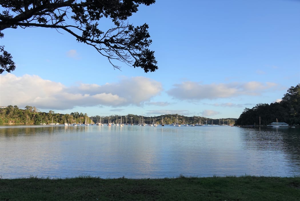 Vessels in Te Pēwhairangi.