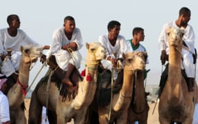 A camel race in Khalis, 85km northeast of Jeddah.
