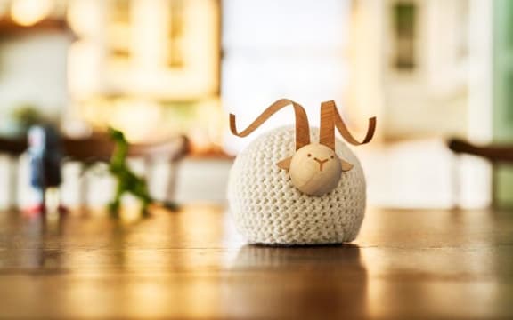 Mr Humfreeze - a temperature and humidity detecting tool designed by scientists as part of the ANZ Healthy Homes initiative