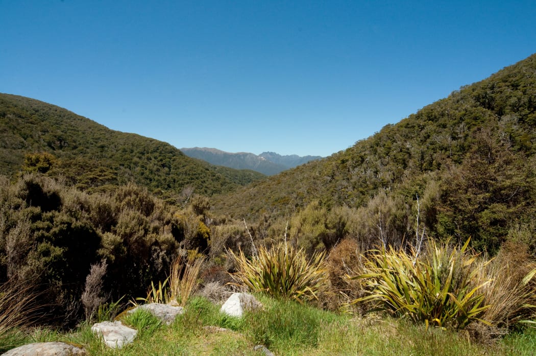 Kahurangi National Park