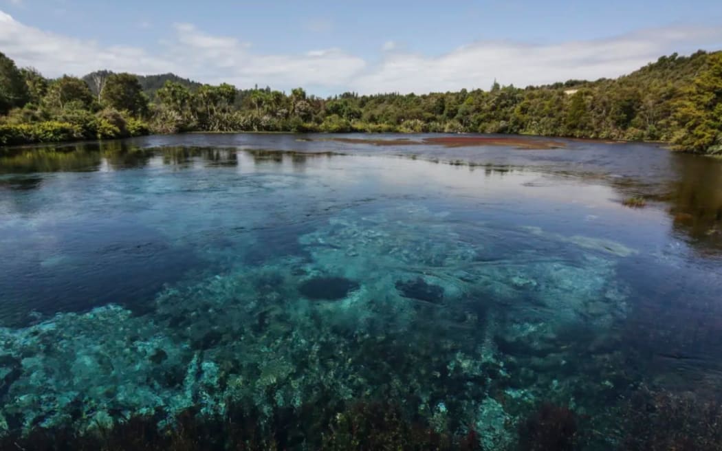 Residents fear a mining operation could impact the internationally significant and tapu Te Waikoropupū Springs.