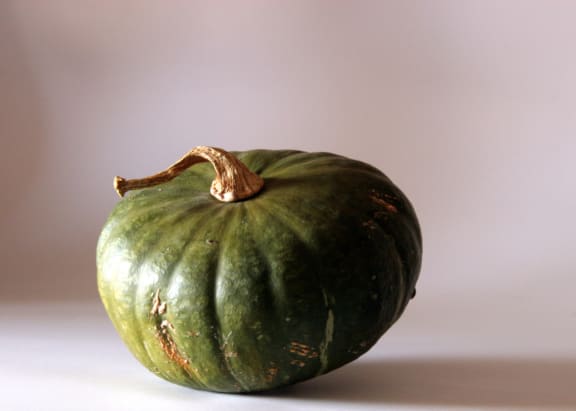 Butternut pumpkin