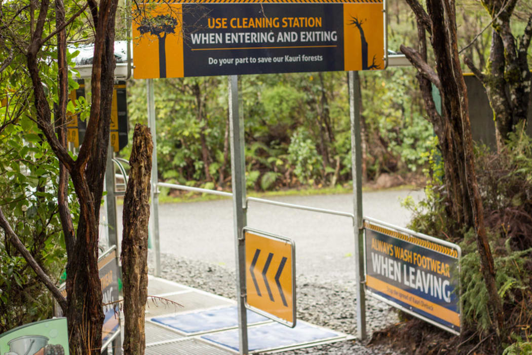 Cleaning Station for Kauri Dieback Disease at an entrance to the Waipoua Forest.