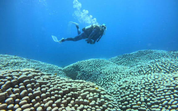 The mother and daughter knew they had found something special on the first dive.