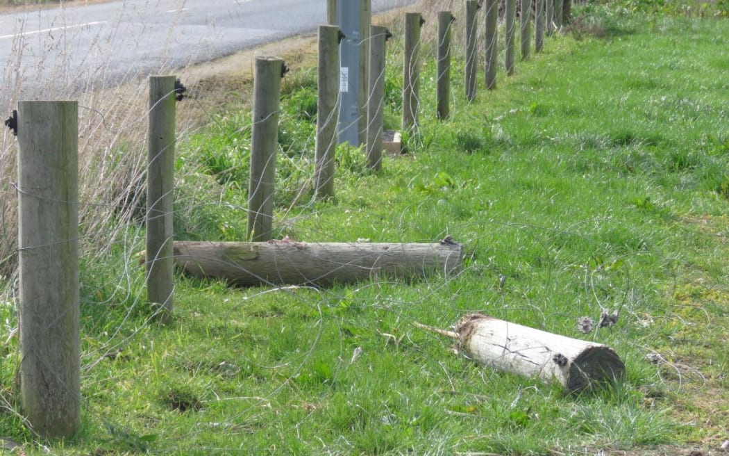 Damaged fence posts after the crash. HAMISH MCNEILLY / THE PRESS