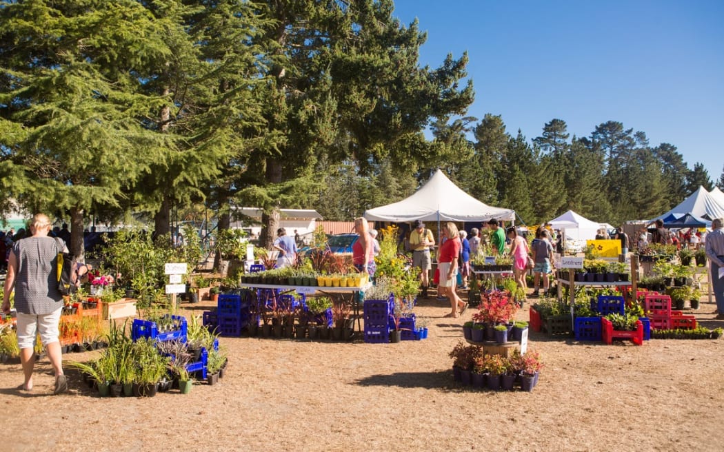 A fairground covered in white gazebo stalls. There are potted plants and flowers on the ground. People mill around looking at produce.