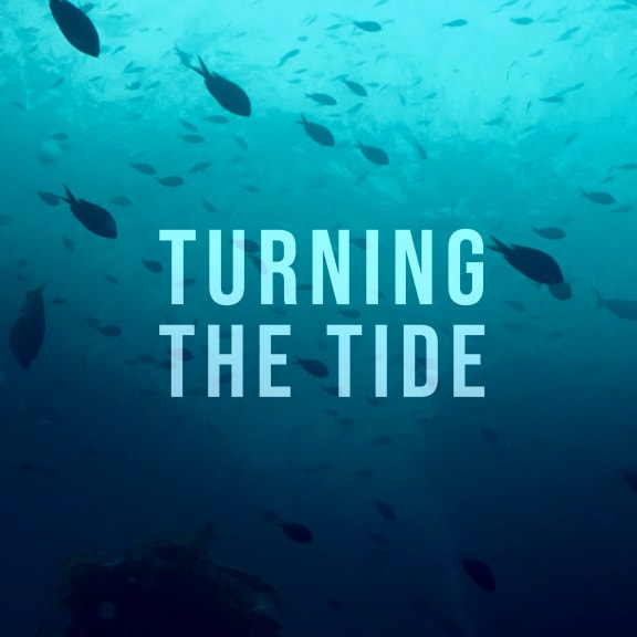 4koc0a1 turning the tide cover internal png