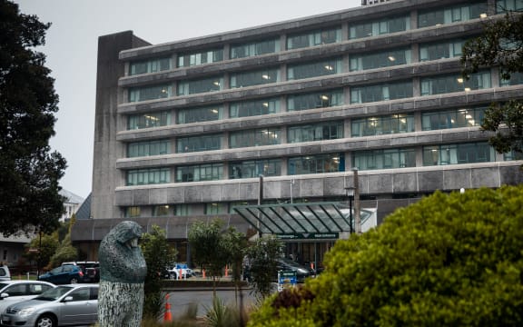Hutt Hospital - Heretaunga Block
