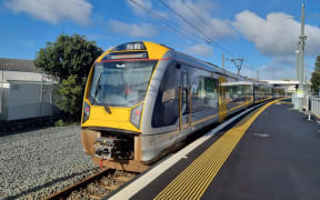 A train stands at Penrose station as services were suspended due to a large fire on James Fletcher Drive in South Auckland.