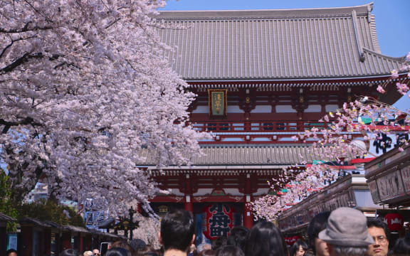 Springtime in Tokyo