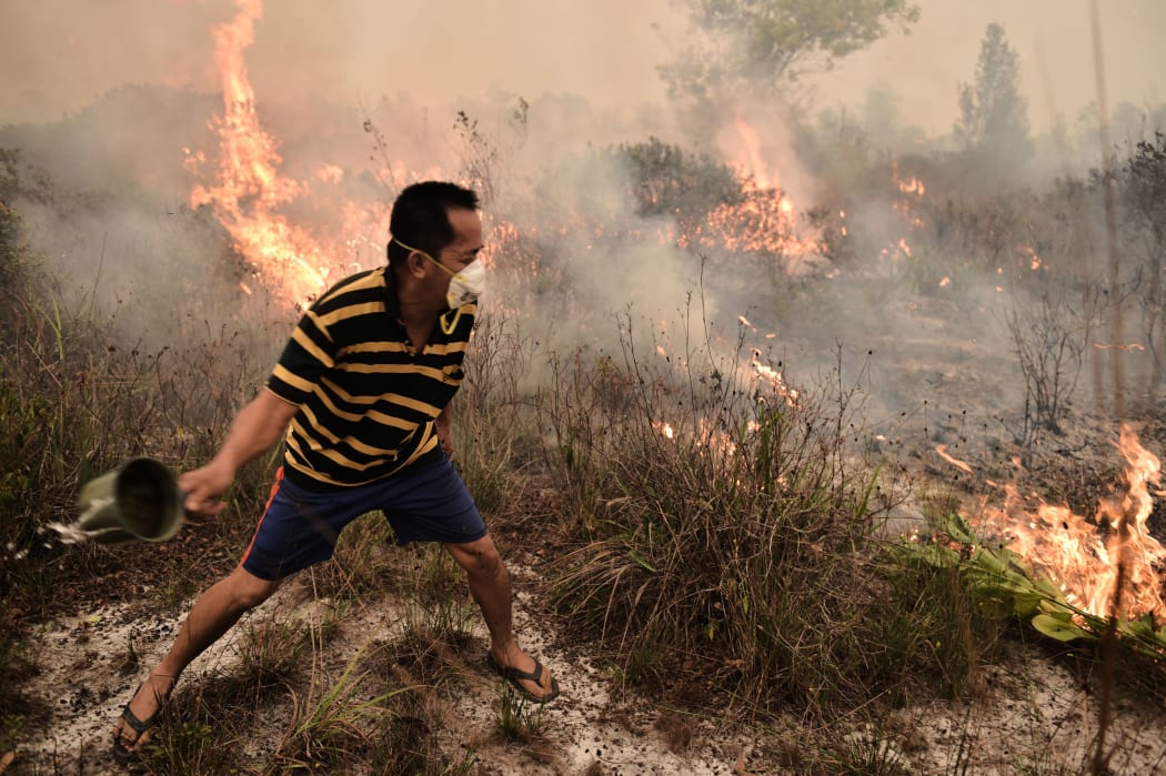A villager tries to extinguish a peatland fire on the outskirts of Palangkaraya city, Central Kalimantan on October 26, 2015. For nearly two months, thousands of fires caused by slash-and-burn farming in Indonesia choked vast expanses of Southeast Asia.