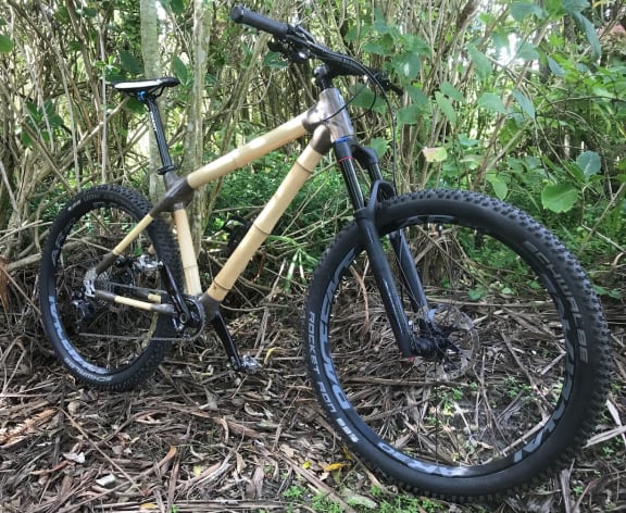Bamboo sales mountain bike
