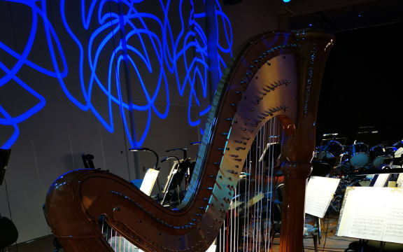 View from the harp - Sinfonietta concert from the NZSO's Shed Series