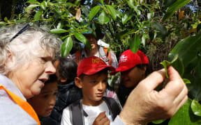 Pam Cromarty and students identify a Coprosma plant in a Stokes Valley reserve.