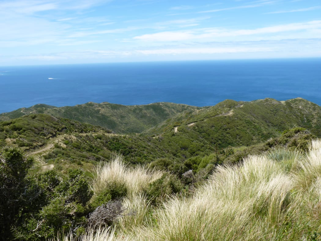 Te Kopahou Reserve, Wellington