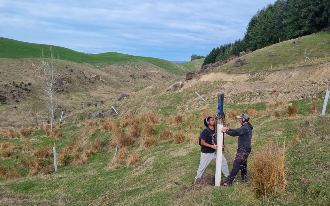 Erosion poles