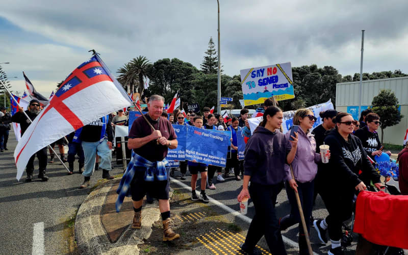 People marching through Patea in a hīkoi to oppose seabed mining, on 2 October, 2024.