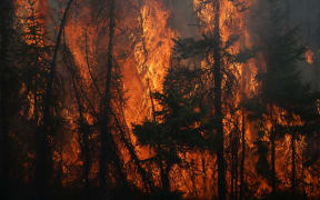 Flames engulf trees along a highway near Fort McMurray, Alberta