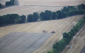 Harvesting crops in northern Southland