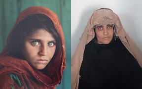 Sharbat Gula