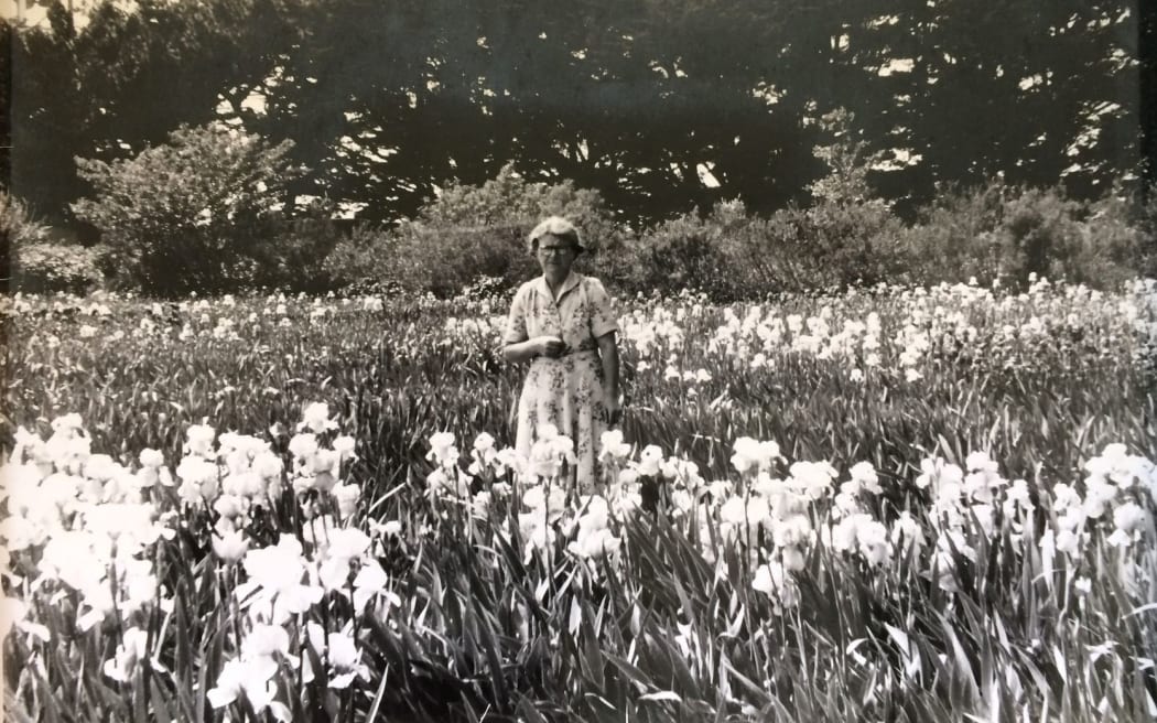 Jean Stevens with her irises, 1955.