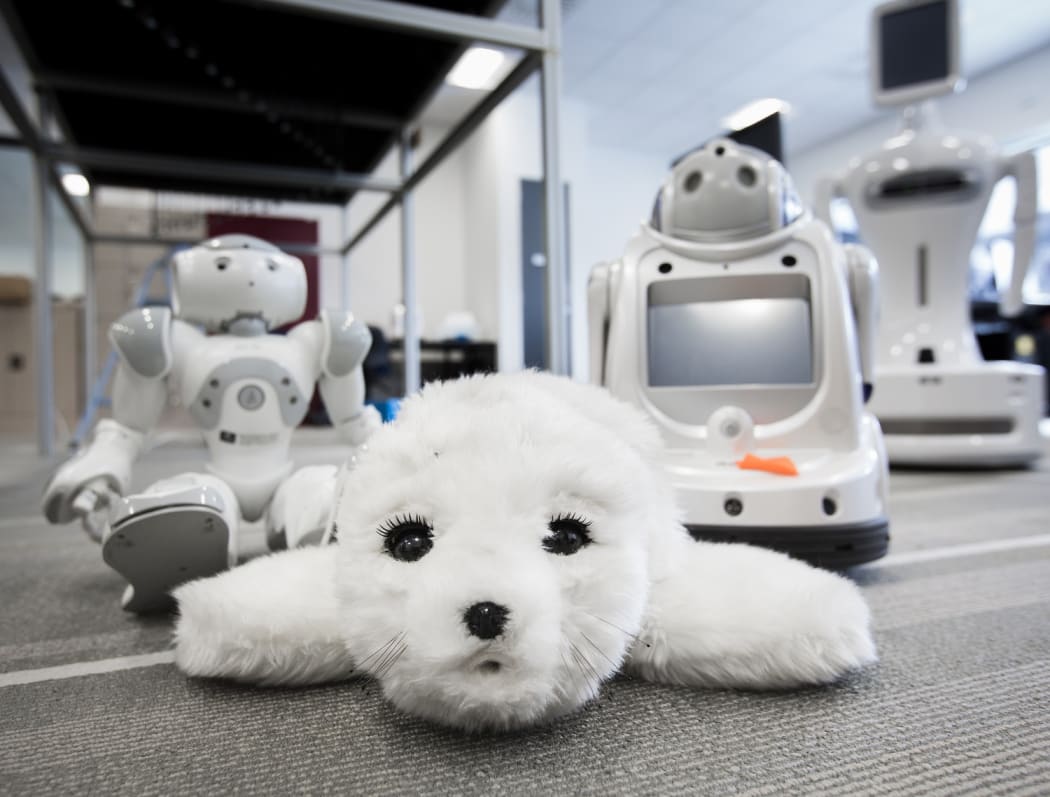 Paro and iRobi robots are proving successful in healthcare in NZ.