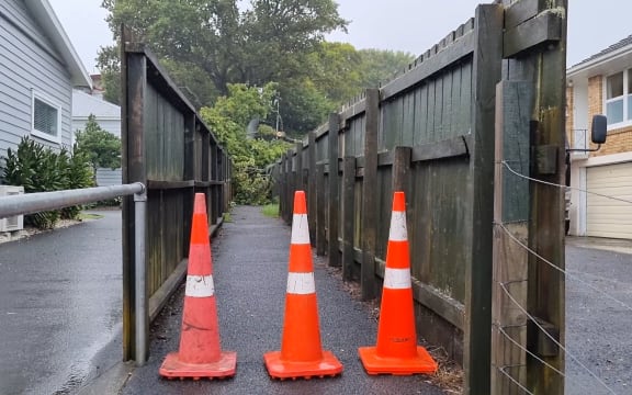 A fallen tree on a property in Mt Albert after Auckland's second night of heavy rain.