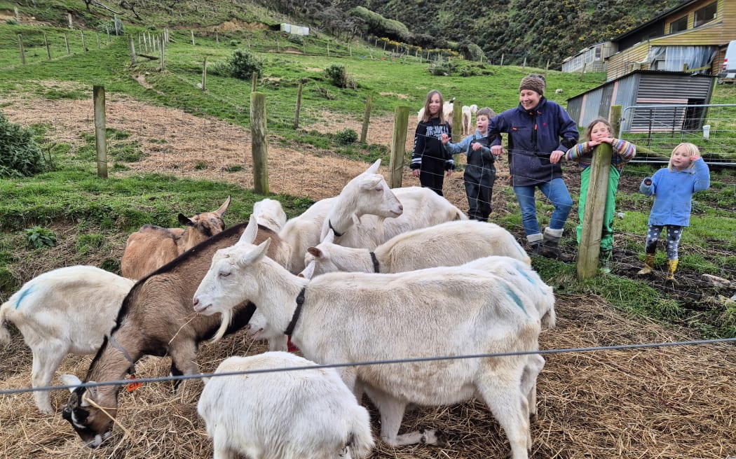 The Steenkamps are often accompanied on-farm by their four human kids.