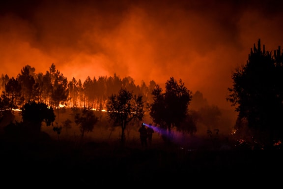 Firefighters are at work to extinguish a wildfire in Cardigos village in Macao, central Portugal.