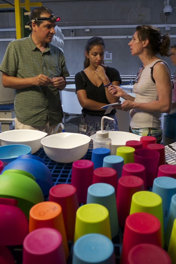 Madeleine van Oppen, right, at the Australian Institute of Marine Science hopes to develop coral stock better able to cope with projected ocean conditions.