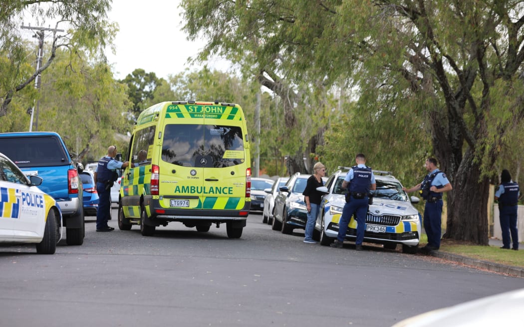 Armed police surrounded a property on Tutuki Street in the Auckland suburb of Waterview on 5 February, 2025.